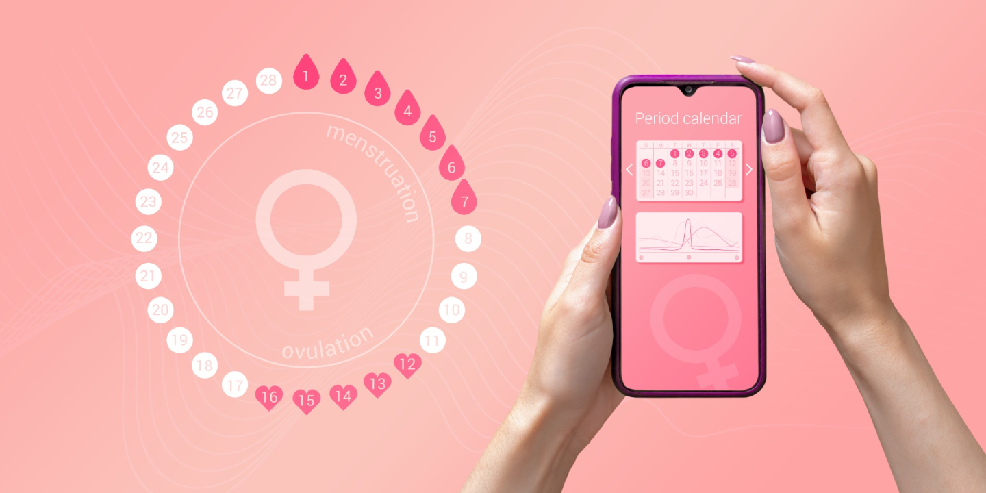 Ilustracija menstrualnega in ovulacijskega koledarja na zaslonu mobilnega telefona